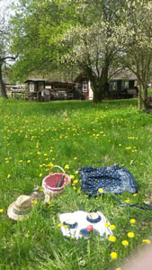 Frhstckpicknick bei Ferienhof Lauk